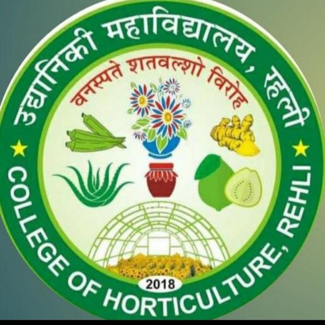 College Logo