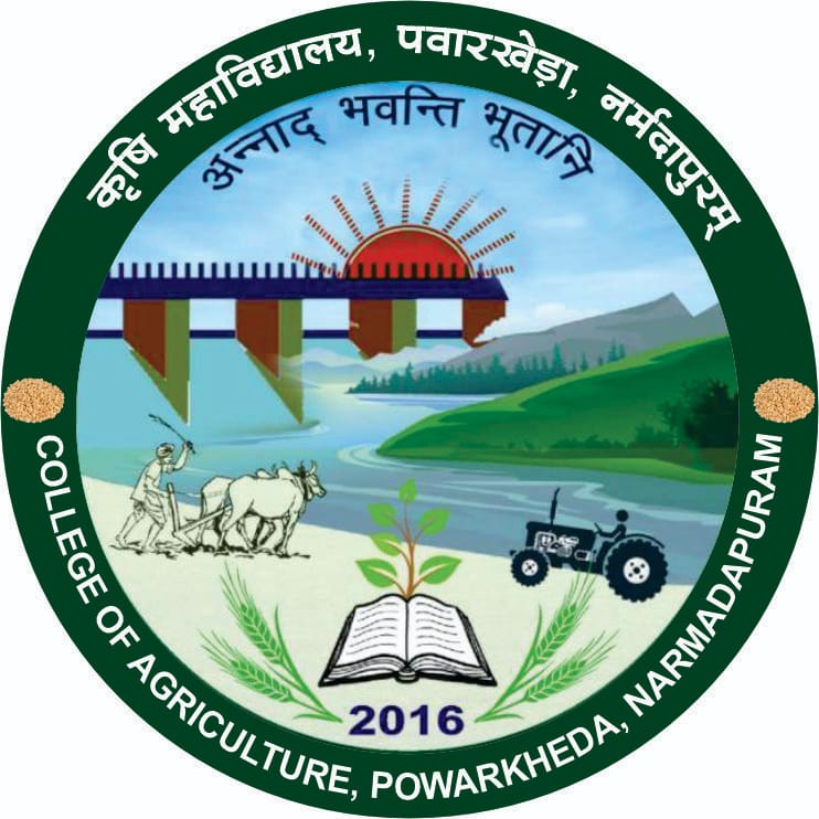 College Logo